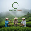 The Hidden High Plateau: Sourcing Our Matcha in Guizhou